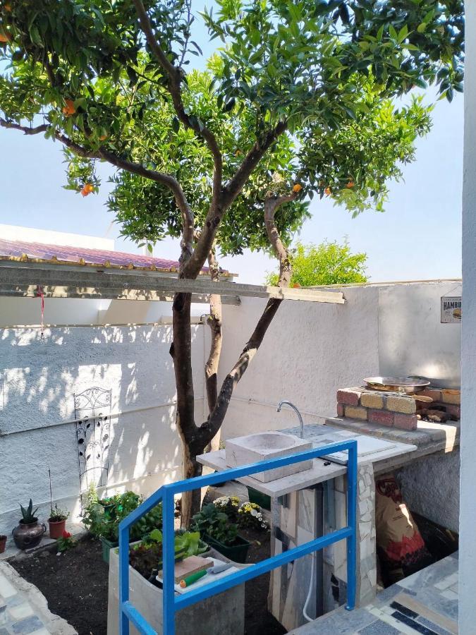 Casa Da Laranjeira Apartment Montargil Exterior foto